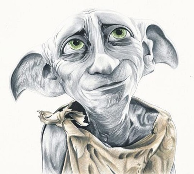 Dobby Print