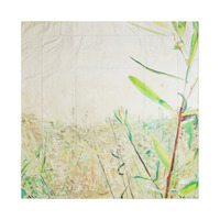 Comforter - Landscape that is coming - Thumbnail 2