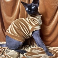 I’m Golden - Velvet - Thumbnail 2