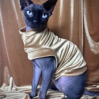 I’m Golden - Velvet - Thumbnail 1