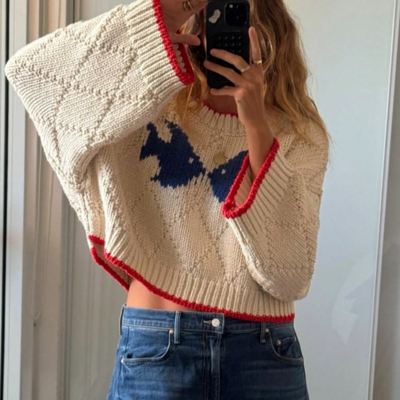 Crew neck graphic fish oversized pullover knit sweater
