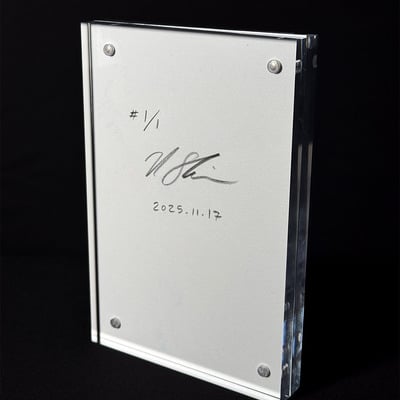 Anomaly 251117: one-of-a-kind signed glitch art 4" x 6" giclée print in acrylic frame