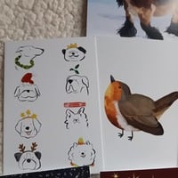 2025 Christmas Card 10 Pack - Thumbnail 1