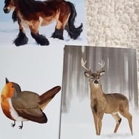 2025 Christmas Card 10 Pack - Thumbnail 2