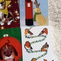 2025 Christmas Card 10 Pack - Thumbnail 4