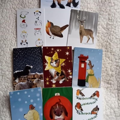 2025 christmas card 10 pack