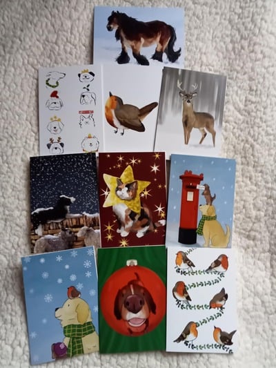 2025 Christmas Card 10 Pack