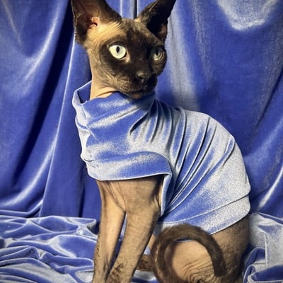 Silver blue - velvet