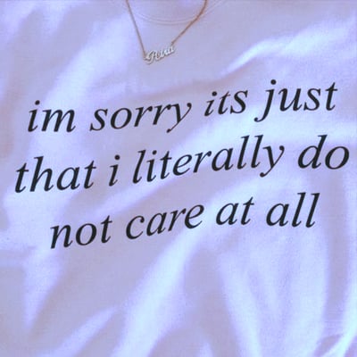 Free shipping-im sorry its just that i literally do not care tee