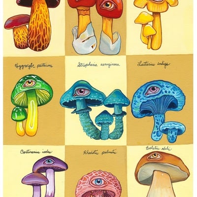 "mushroom studies" print 