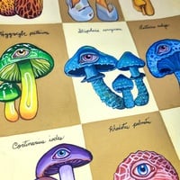 "Mushroom Studies" Original Sketchbook Page - Thumbnail 1