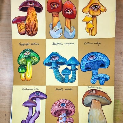 "mushroom studies" original sketchbook page