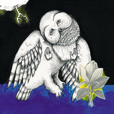 Songs:ohia - magnolia electric co.