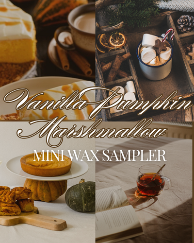 Vanilla Pumpkin Marshmallow mini wax sampler 
