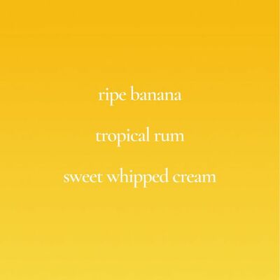 Lyrd surf’s up, bottoms up candle - final sale