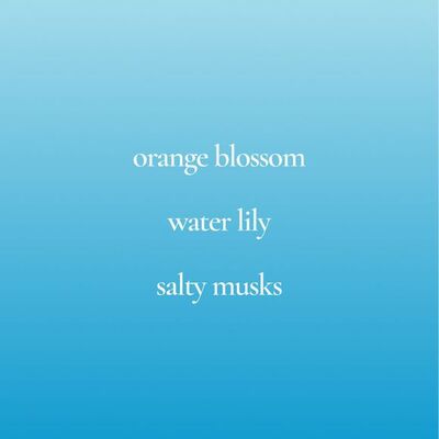 Lyrd back from the beach candle - final sale