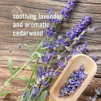 Avon Senses Gratitude Lavender & Cedarwood Air Diffuser - FINAL SALE - Thumbnail 2