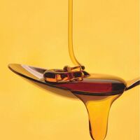 Elastine Propoli Thera Hair Oil Serum - FINAL SALE - Thumbnail 3