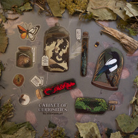 Cabinet of Curiosities Transparent Sticker Sheet  - Thumbnail 1