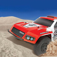 Team Associated ASC90039C 1/10th Pro2 DK10SW 2WD Brushless Dakar Buggy RTR RC Car - Thumbnail 9