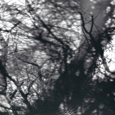 Grouper - way their crept