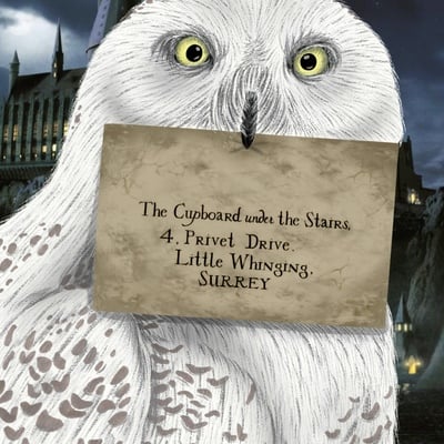 Revamped hedwig print