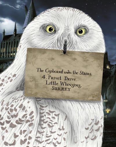 Revamped Hedwig Print