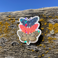Sticker - Moth Stack - Thumbnail 1