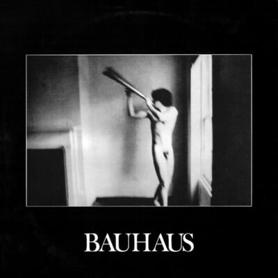 [12/19] bauhaus - in the flat field