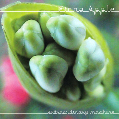 [12/19] fiona apple - extraordinary machines