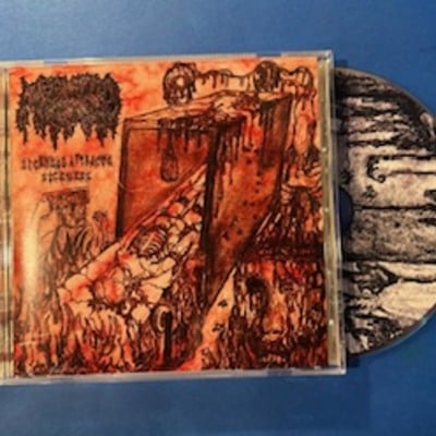 Mephitic corpse - sickness attracts sickness (cd)