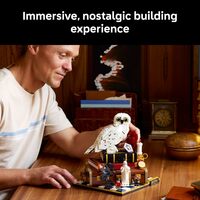 LEG Harry Potter Sorcerer’s Stone – Collectors’ Edition Building Set for Adults - - Thumbnail 1