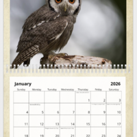 2026 Animal Rights Calendar (Pre-order) - Thumbnail 1