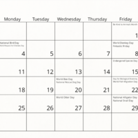 2026 Animal Rights Calendar (Pre-order) - Thumbnail 4