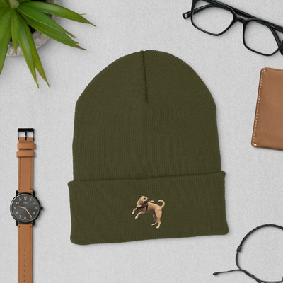 Kuuchuu beanie 
