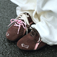 CHOCOLATE DACHSHUND SNEAKERS - Thumbnail 1