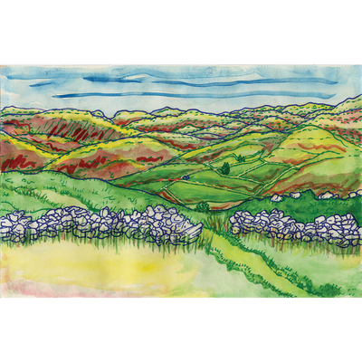 Somewhere in Mid Wales 