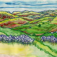 Somewhere in Mid Wales  - Thumbnail 1