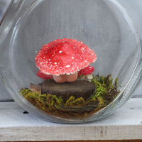 Small mushroom in a jar - Thumbnail 1