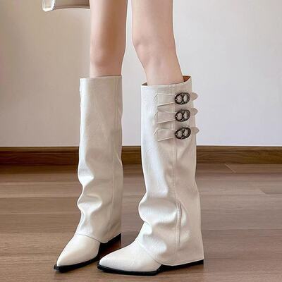 French pointed wedge heel white long tube boots for women 