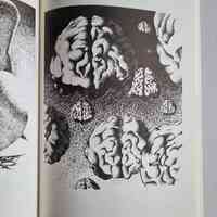 "Les Grotesques" (Cartoons & Caricatures) - Thumbnail 3