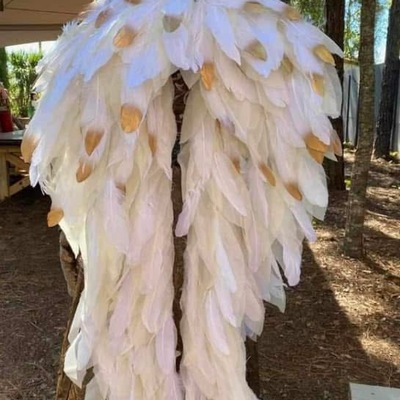Large feather costume wings - Thumbnail 1