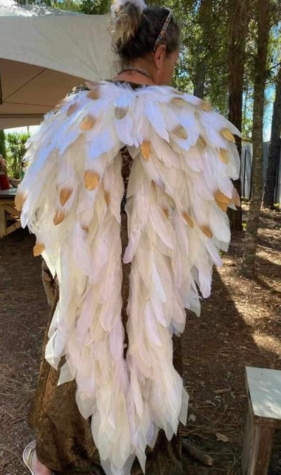 Large Feather Costume Wings