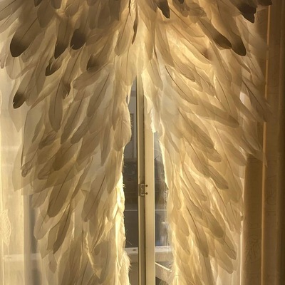 Large feather costume wings