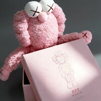 ArTToy by Kaws "KAWS BFF Pink Plush"  - Thumbnail 6
