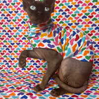 Love Rainbow - Sleepwear - Thumbnail 1