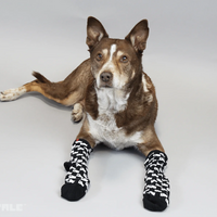 UNDERTALE Annoying Dog Socks - Thumbnail 2