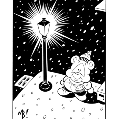 Pudget snow print