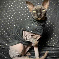 Hearts of Gold - Sleepwear - Thumbnail 2