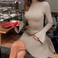 Long Sleeved Solid Color High Neck Tight Knit Dress - Thumbnail 1